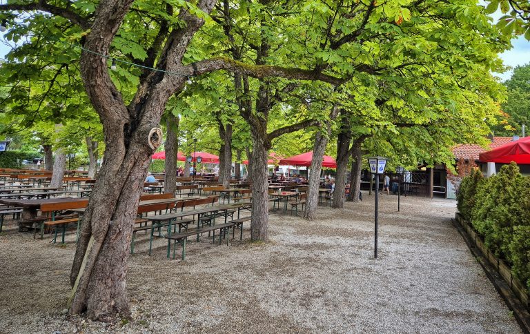 Choosing a Family-Friendly Restaurant: A Checklist