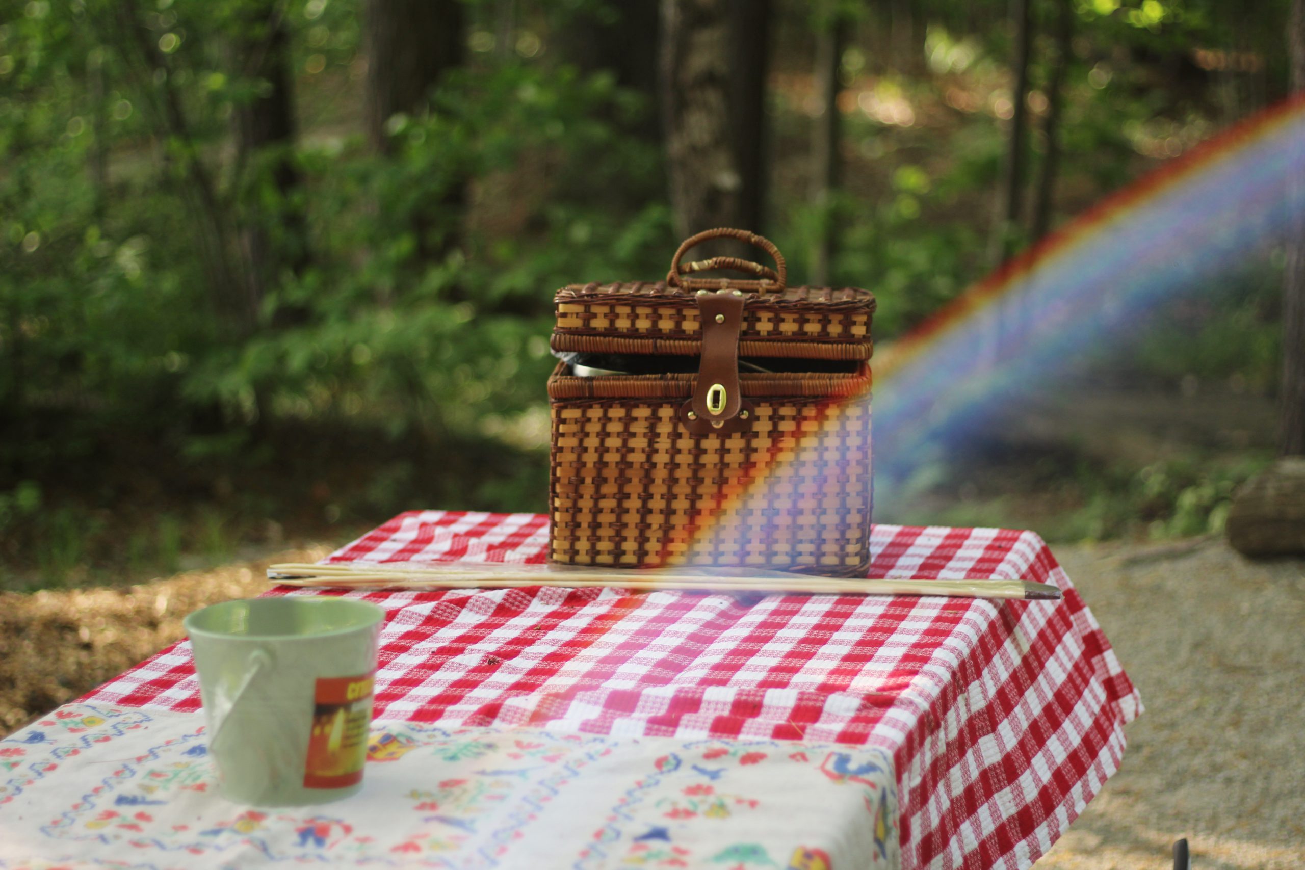 A wicker picnic basket on a red and white checked tablecloth at a picnic table in woodland