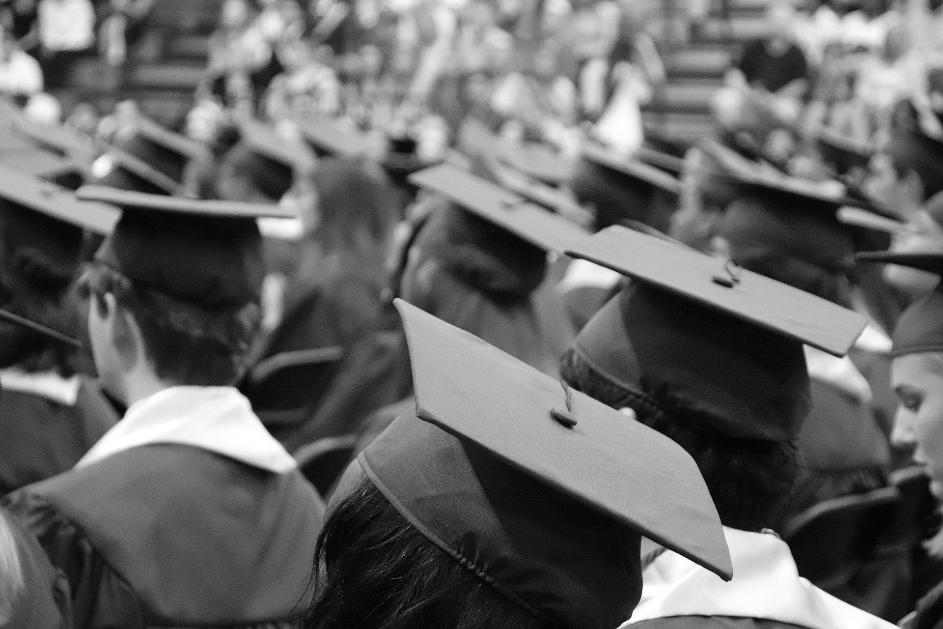 Rows of graduates in mortarboards seen from behind at a ceremony